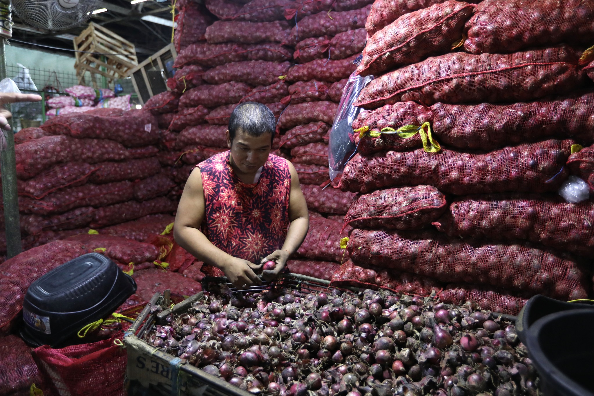 Onion Farmers Brace For Worst As Agri Woes Seen To Persist In 2024   QV11GpXjO8aBXRZamyXJYGbSBkih8pztmRVb2Gkx 